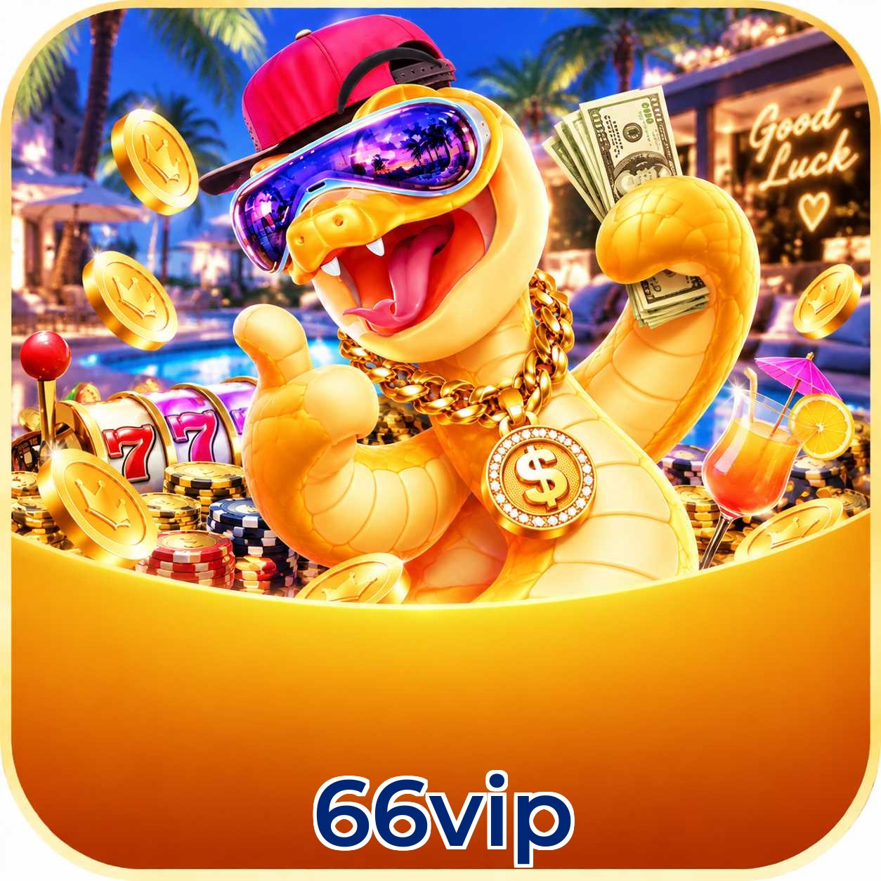66vip FAQ