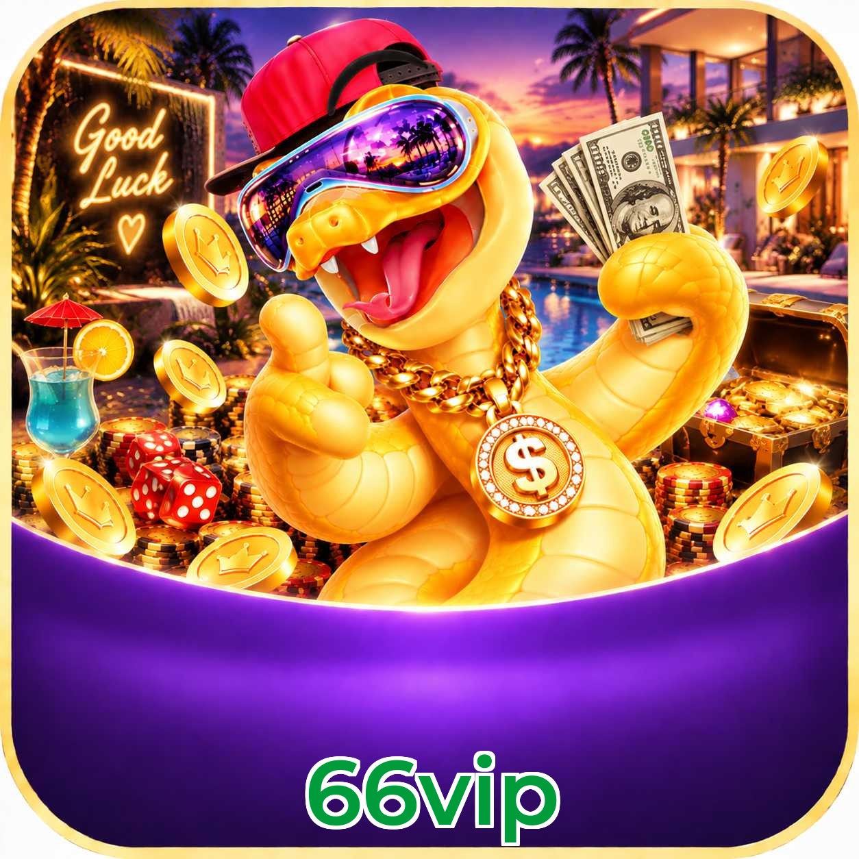 66vip Performance