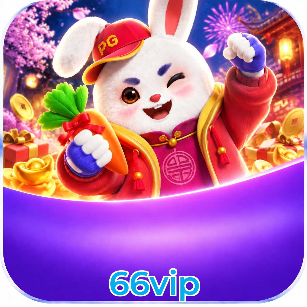 66vip